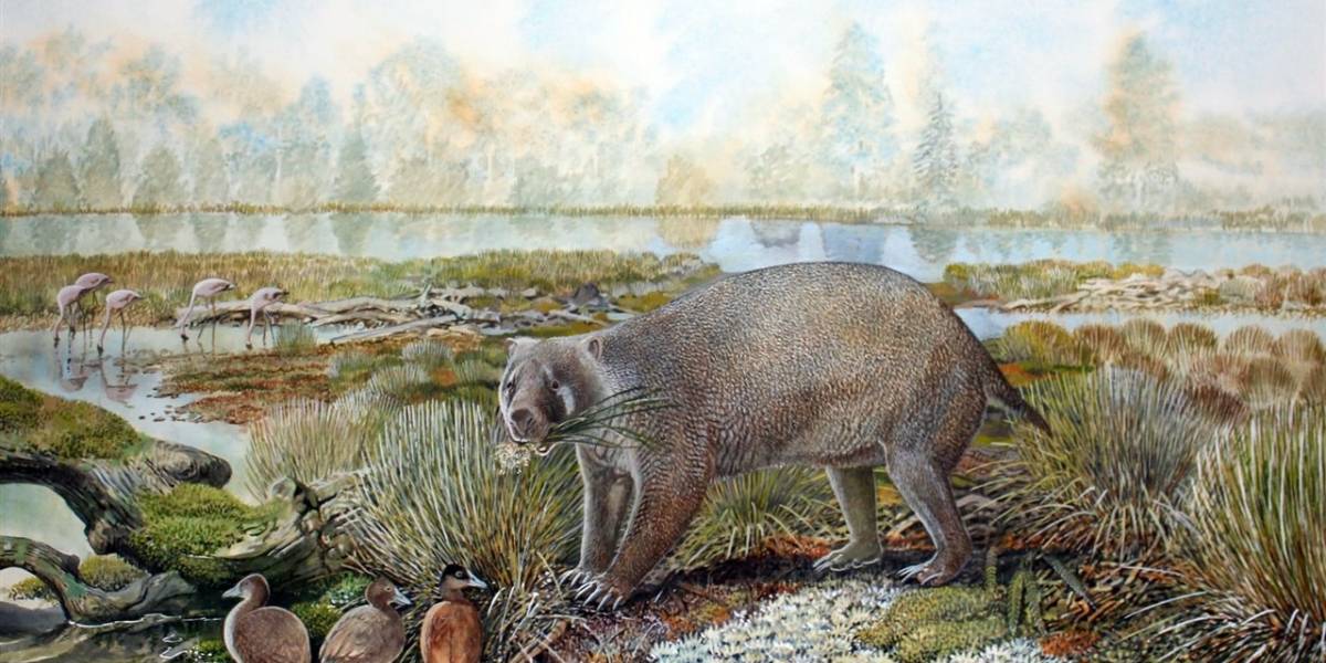 Científicos descubrieron una extinta y desconocida clase de marsupiales que recorrió la Tierra hace 25 mil millones de años