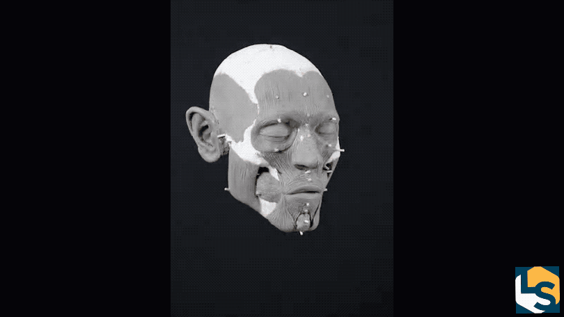  Reconstrucción del rostro 