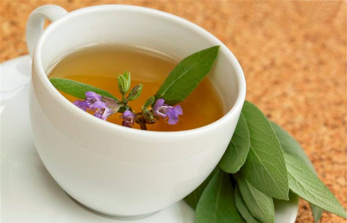 Infusión de salvia
