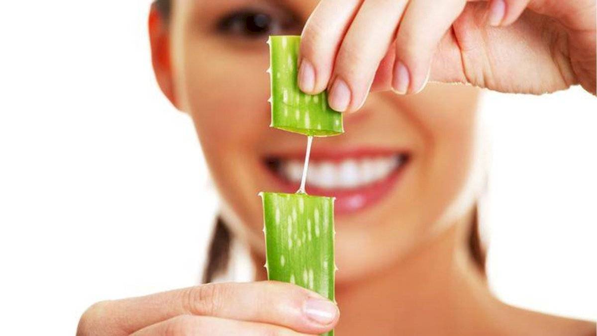 El aloe de vera dejará tus rizos hidratados