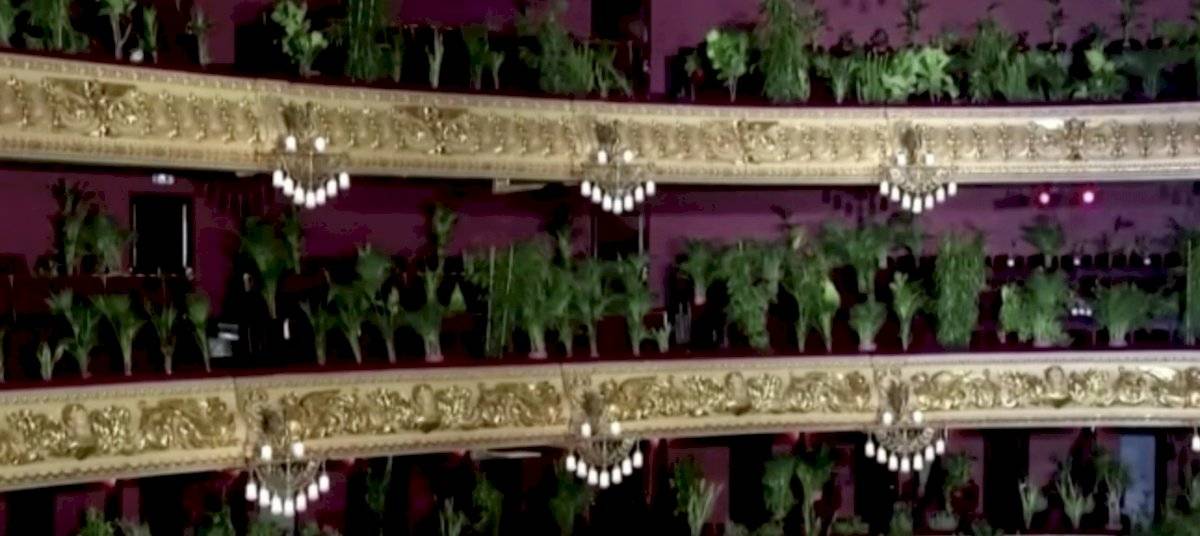 Ópera de Barcelona organiza insólito concierto para plantas