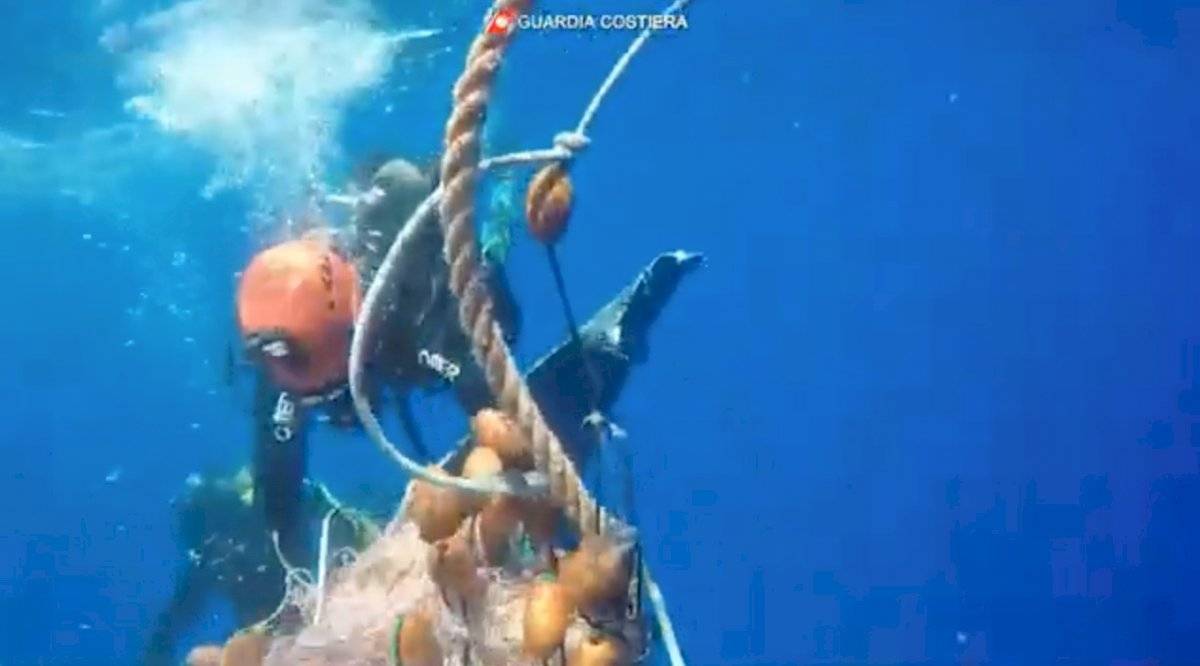 ballena Italia
