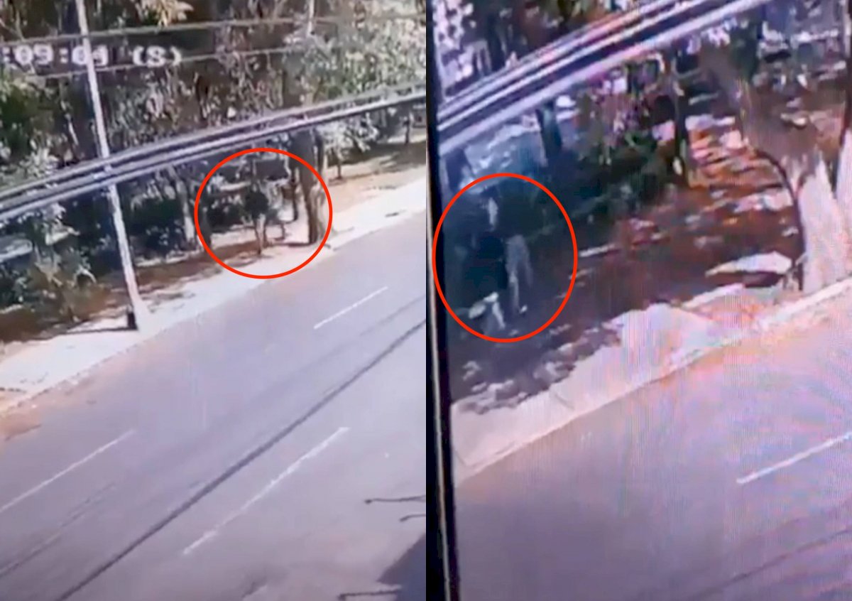 asalto en coyoacán
