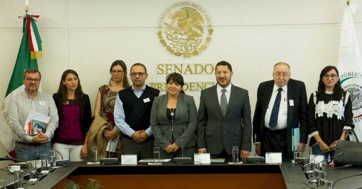 La senadora es integrante de Morena.