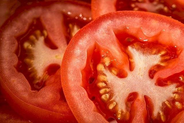 Jitomates