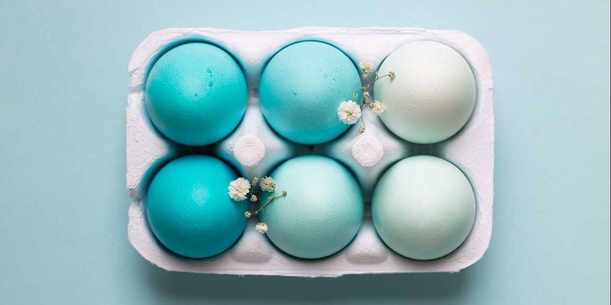 ¿Huevos azules? Existen gallinas que sí los ponen de forma natural y no tienen nada de malo