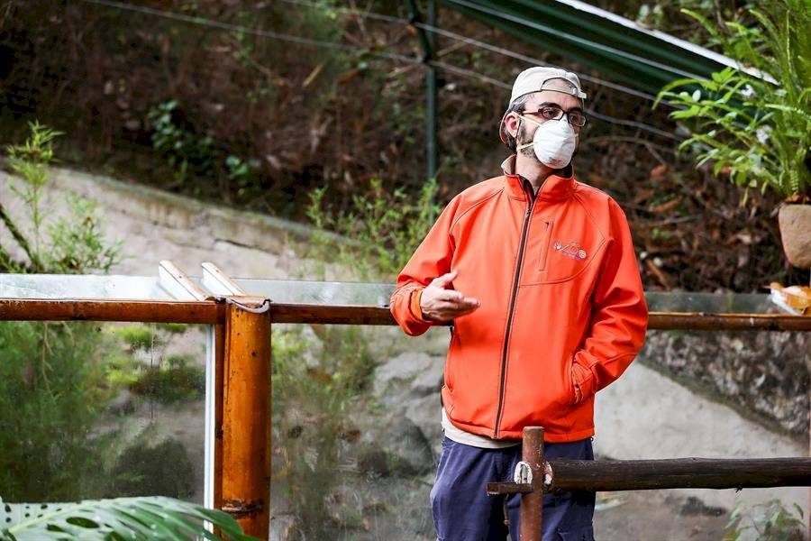 El zoológico de Quito reabre sus puertas luego de 110 días de confinamiento
