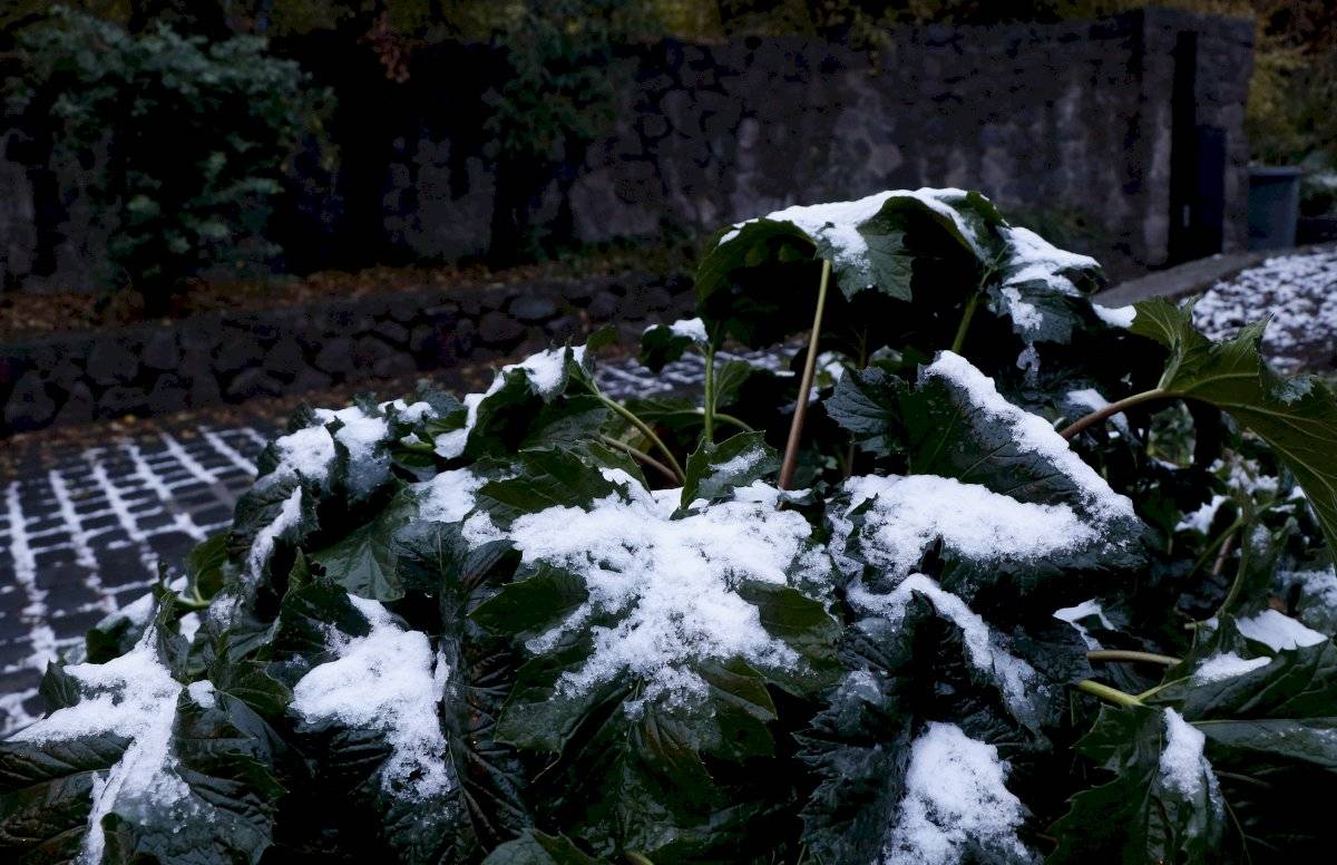 Nieve Lo Barnechea
