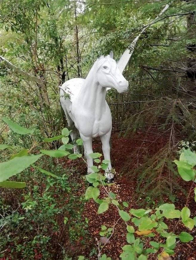 Unicornio