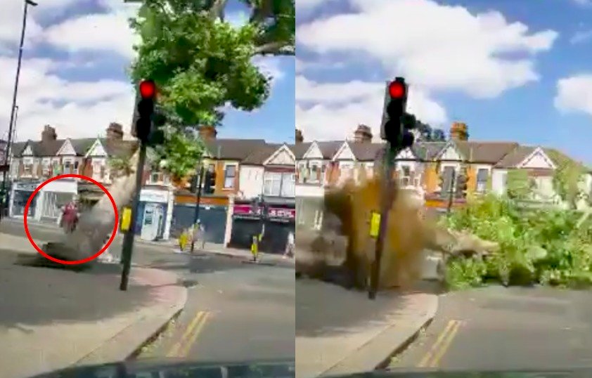 Árbol cae en Londres