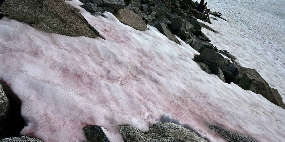 Alarmas en Italia por la presencia de "nieve rosada" en el glaciar Presena