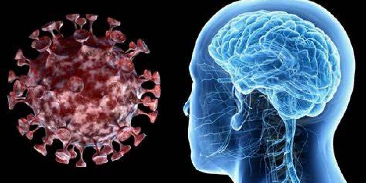 Coronavirus: De acuerdo a científicos, así es como el COVID-19 puede afectar al cerebro