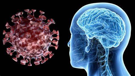 COVID cerebro COVID cerebro