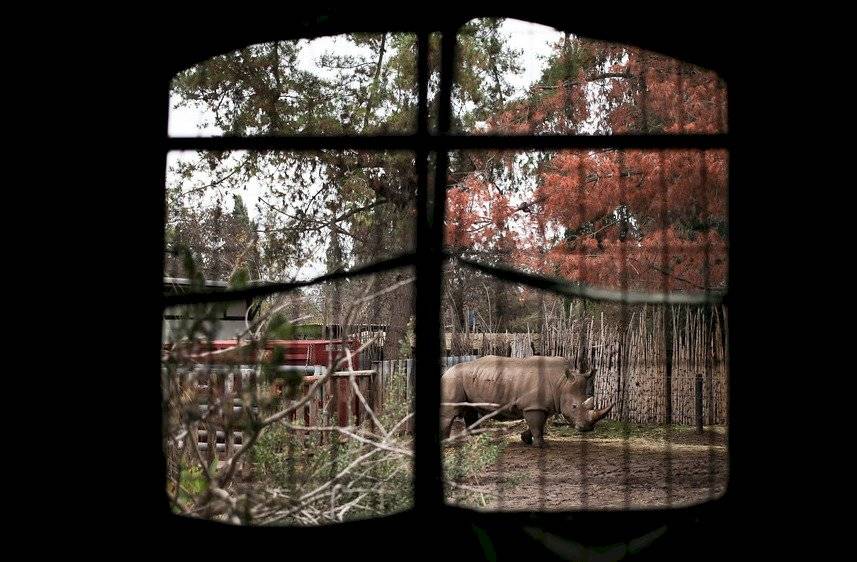 Buin Zoo