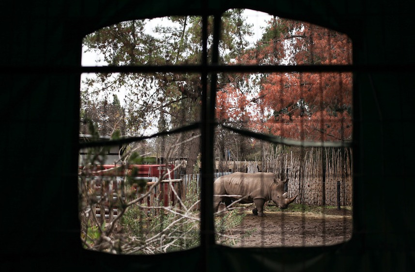 Buin Zoo
