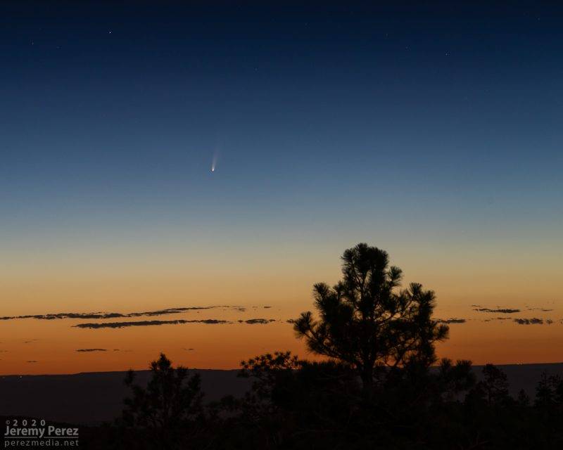 Cometa Neowise Cometa Neowise