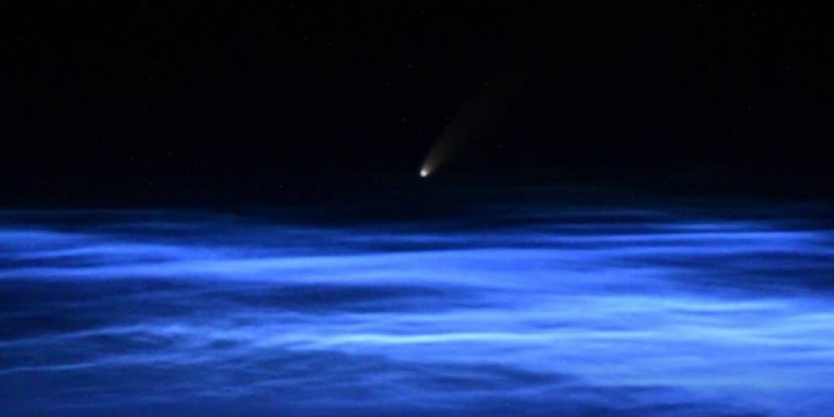 Cometa Neowise: ¿Cómo puedes ver este imperdible fenómeno astronómico?