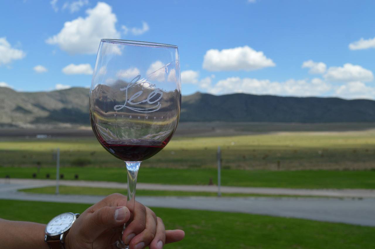 Ruta del Vino Parras Coahuila Ruta del Vino Parras Coahuila