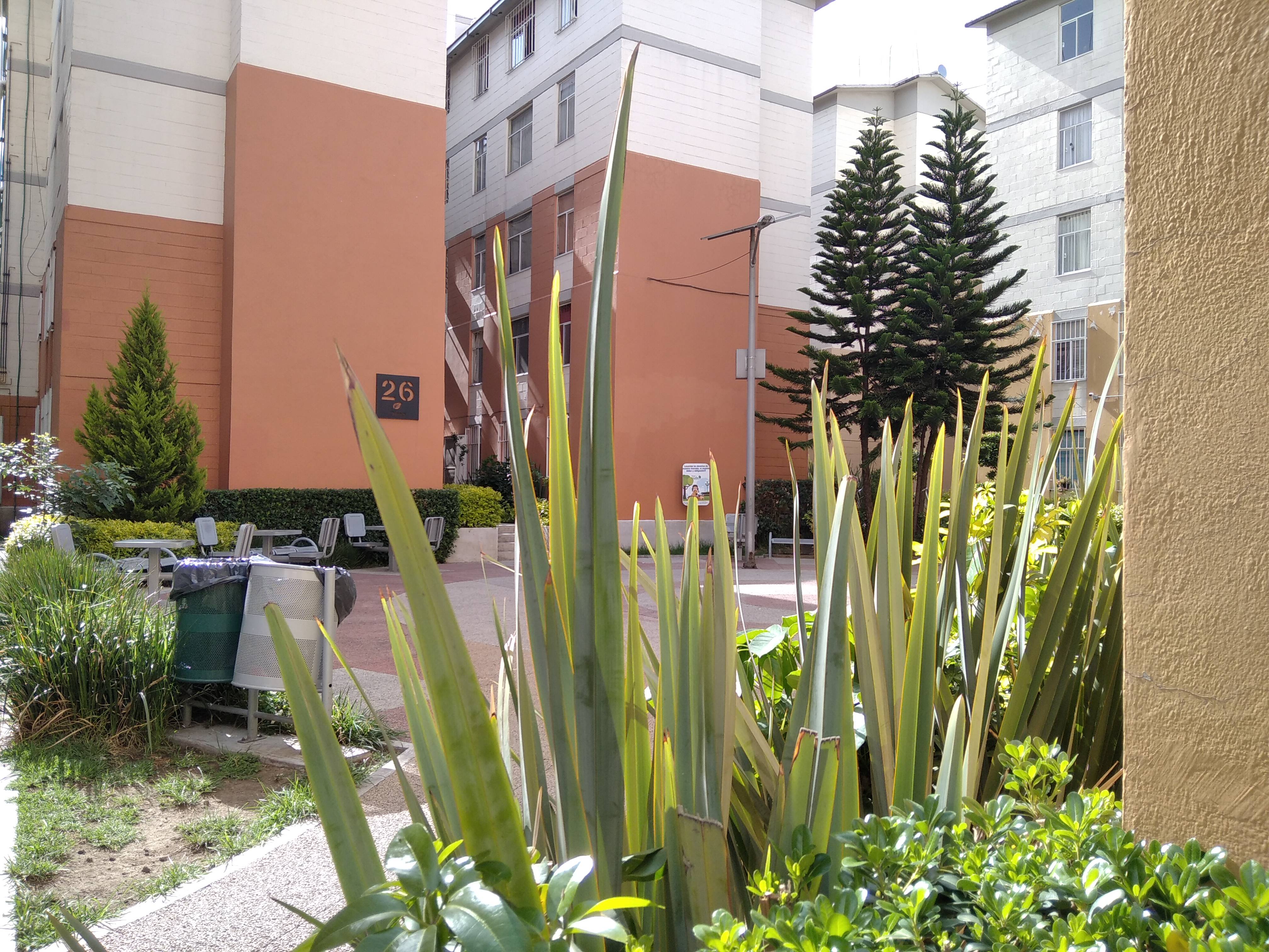 Xiaomi Redmi 8A Xiaomi Redmi 8A