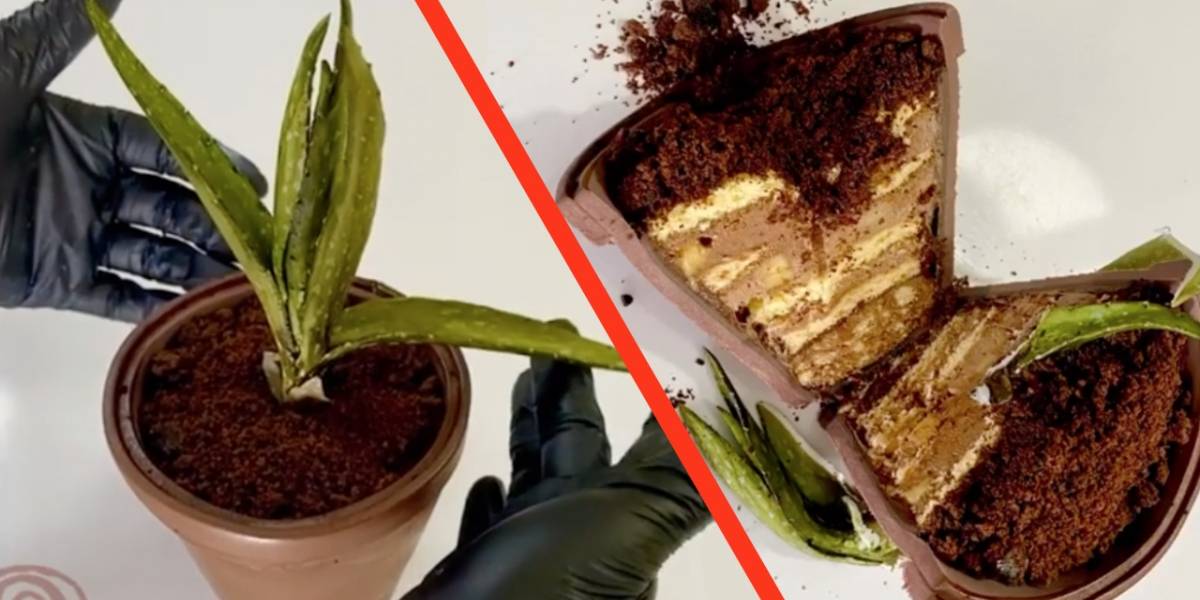 Everything is cake: este es el origen del meme de los pasteles