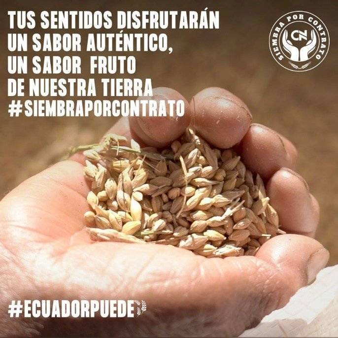 cerveceria