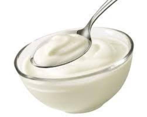 Yogurt casero