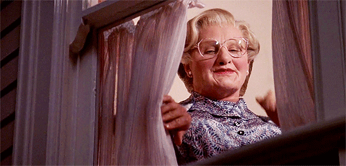 robin williams robin williams