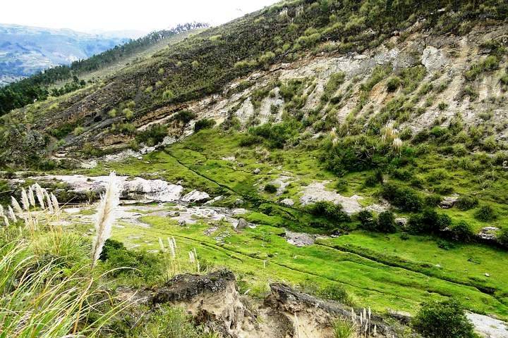 Fósil de lechuza gigante que vivió hace 40.000 años fue encontrado en Ecuador