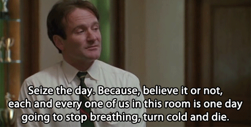 robin williams robin williams