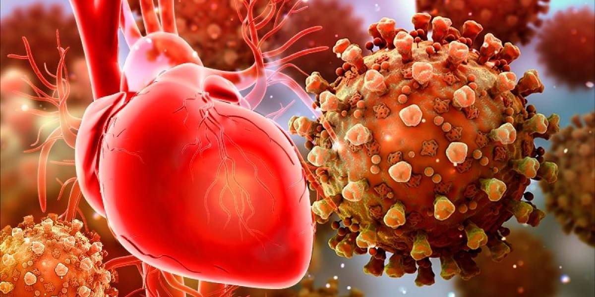 COVID-19: Autopsias revelan un inusual patrón de daño cardíaco