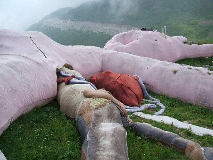 conejo