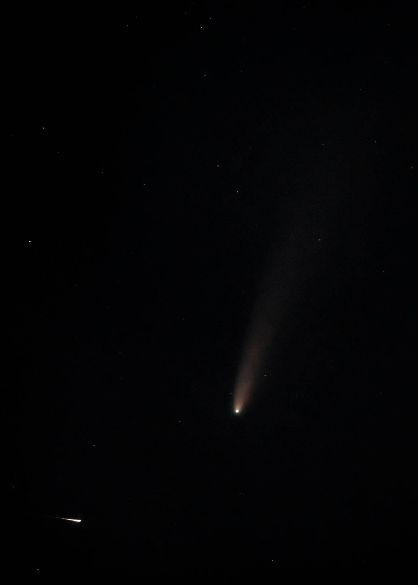 Cometa Neowise Cometa Neowise