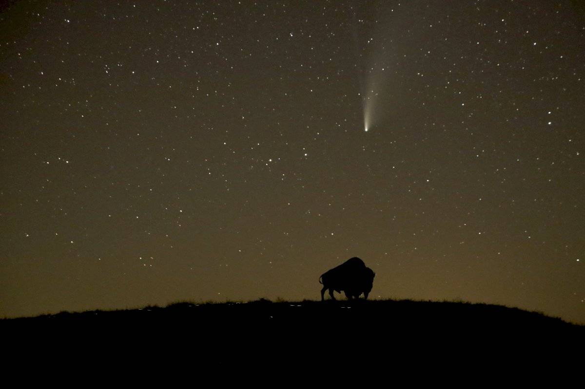 Cometa NEOWISE