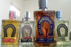 Cecilia Suárez se siente orgullosa de ser fiel embajadora del tequila
