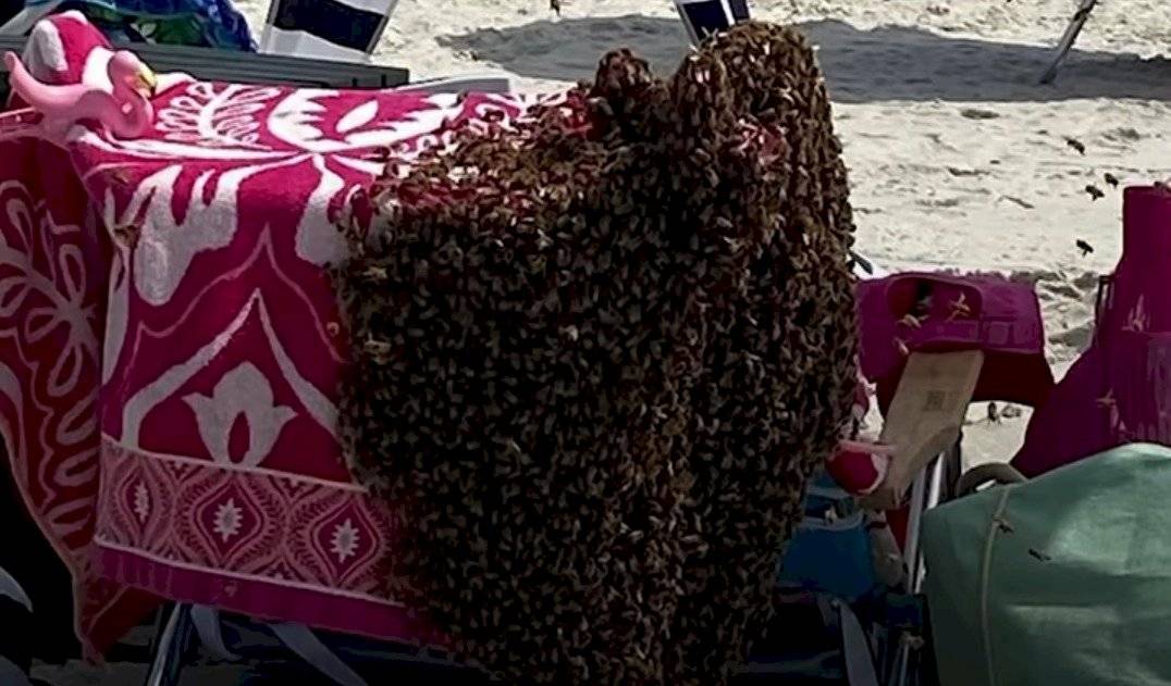 Captura de pantalla
