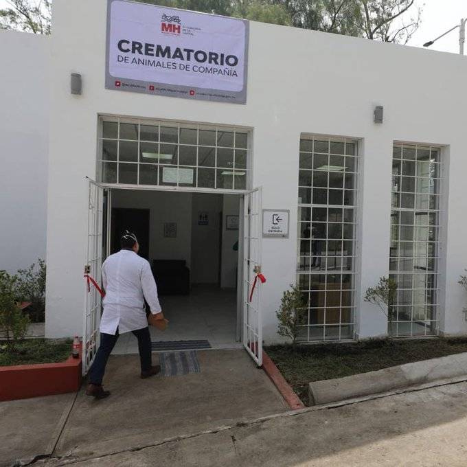 Crematorio para mascotas