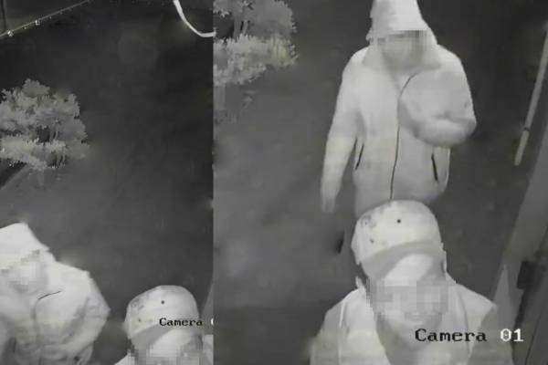 Cámaras de seguridad graban a sus ladrones en Edomex