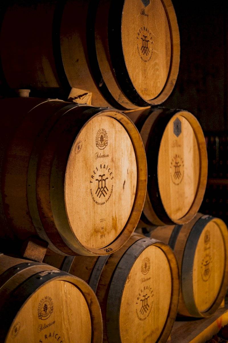Vinos Tres Raíces