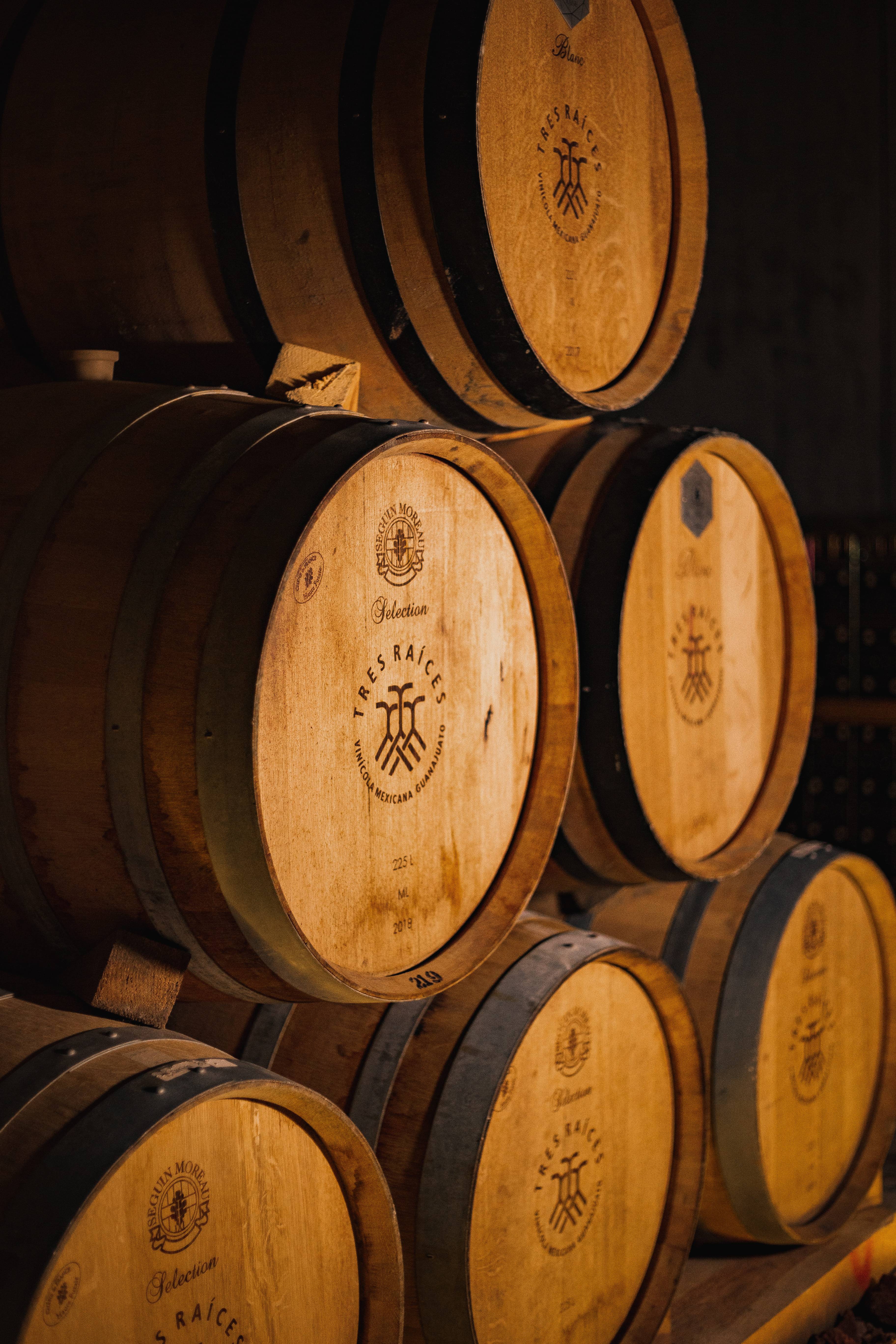 Vinos Tres Raíces Cortesía vinícola Tres Raíces