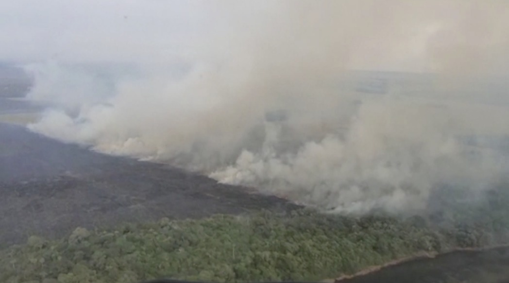 Fuerte aumento de incendios en el Pantanal de Brasil