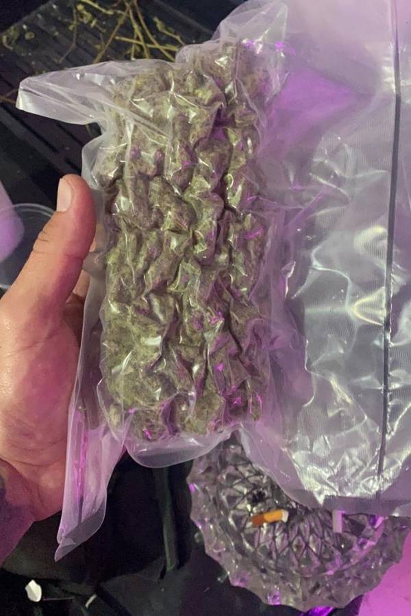 Maconha apreendida Planalto Paulista