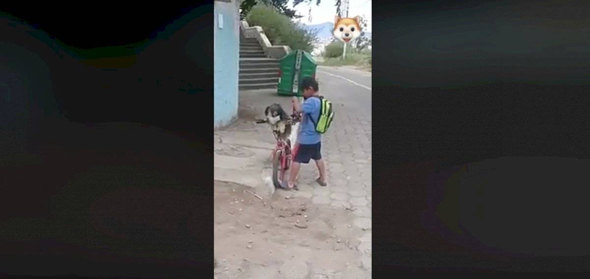 Video de niño ecuatoriano se ha viral