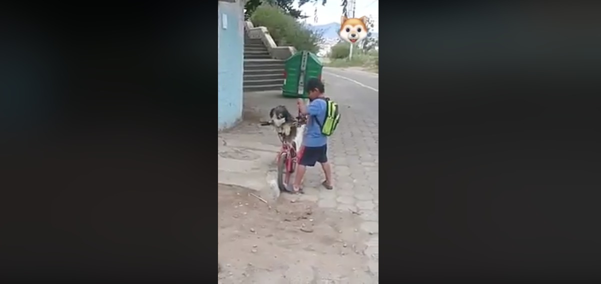 Video de niño ecuatoriano se ha viral