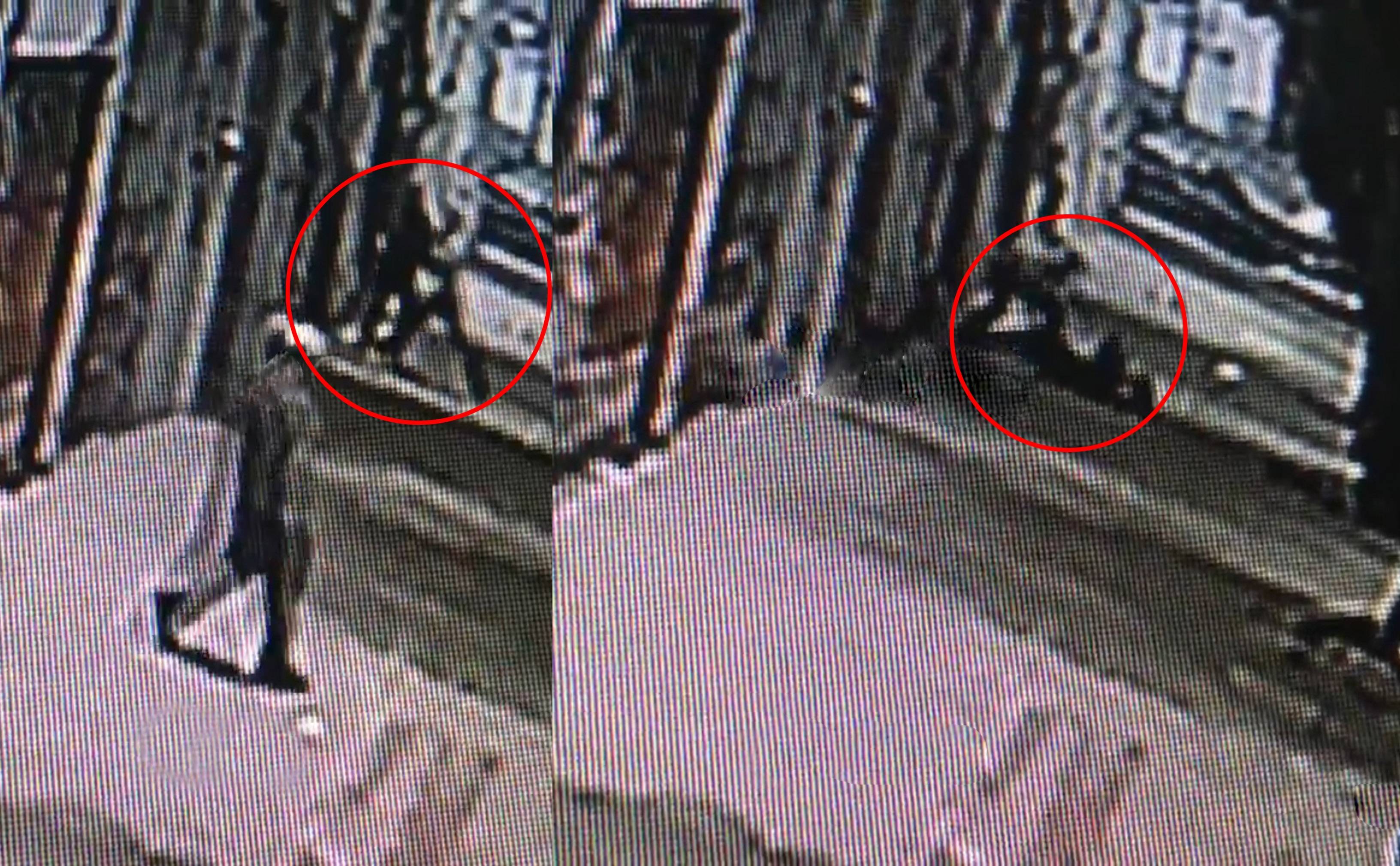 Captan robo a mujer en calles de la colonia Doctores