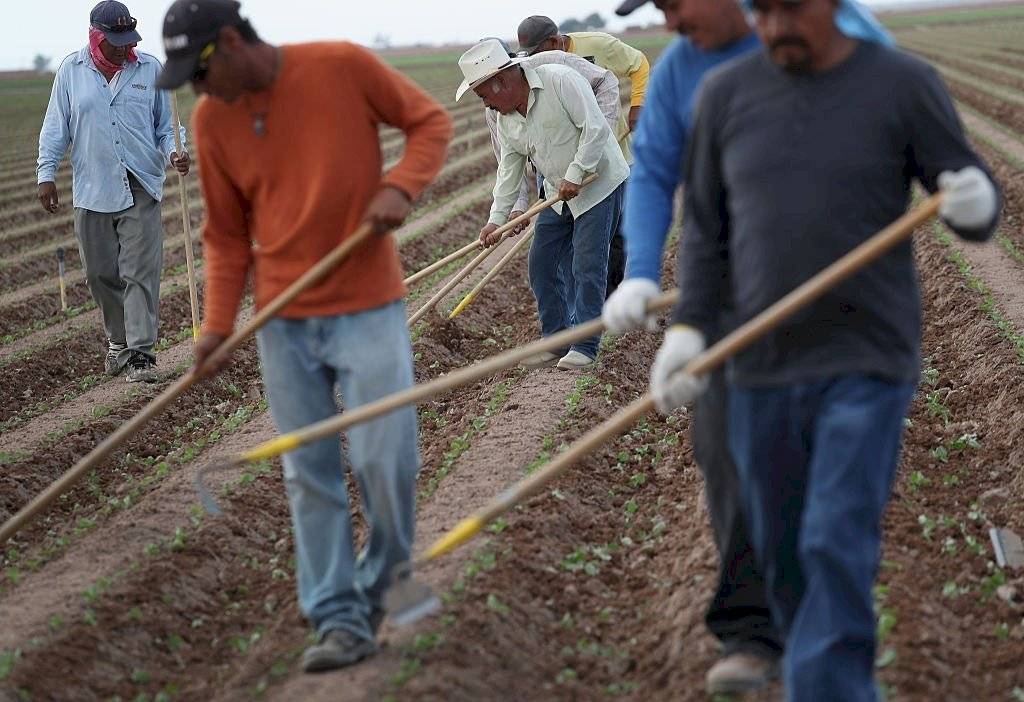 Latinos trabajadores en EU