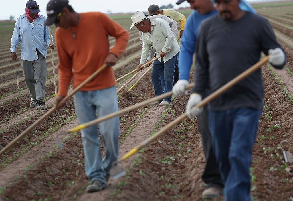 Latinos trabajadores en EU