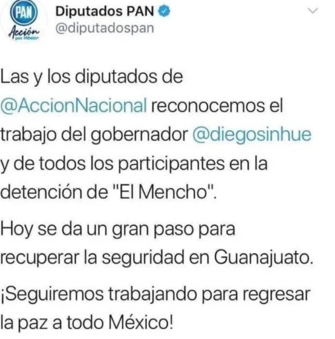 Diputados Acción Nacional