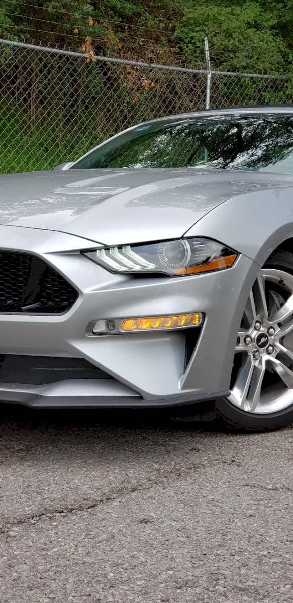 Mustang GT Convertible