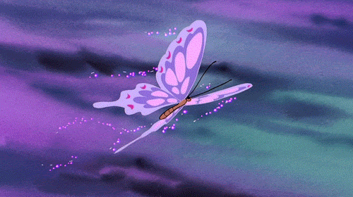 mariposa mariposa