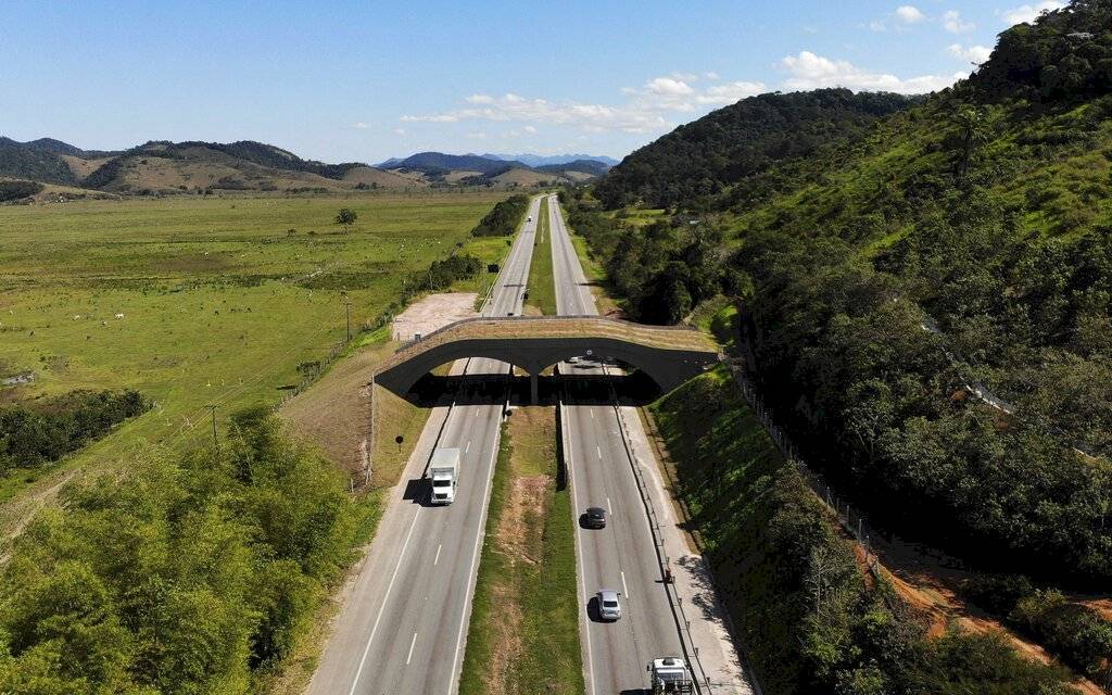 puente